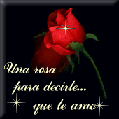 pour toi bb